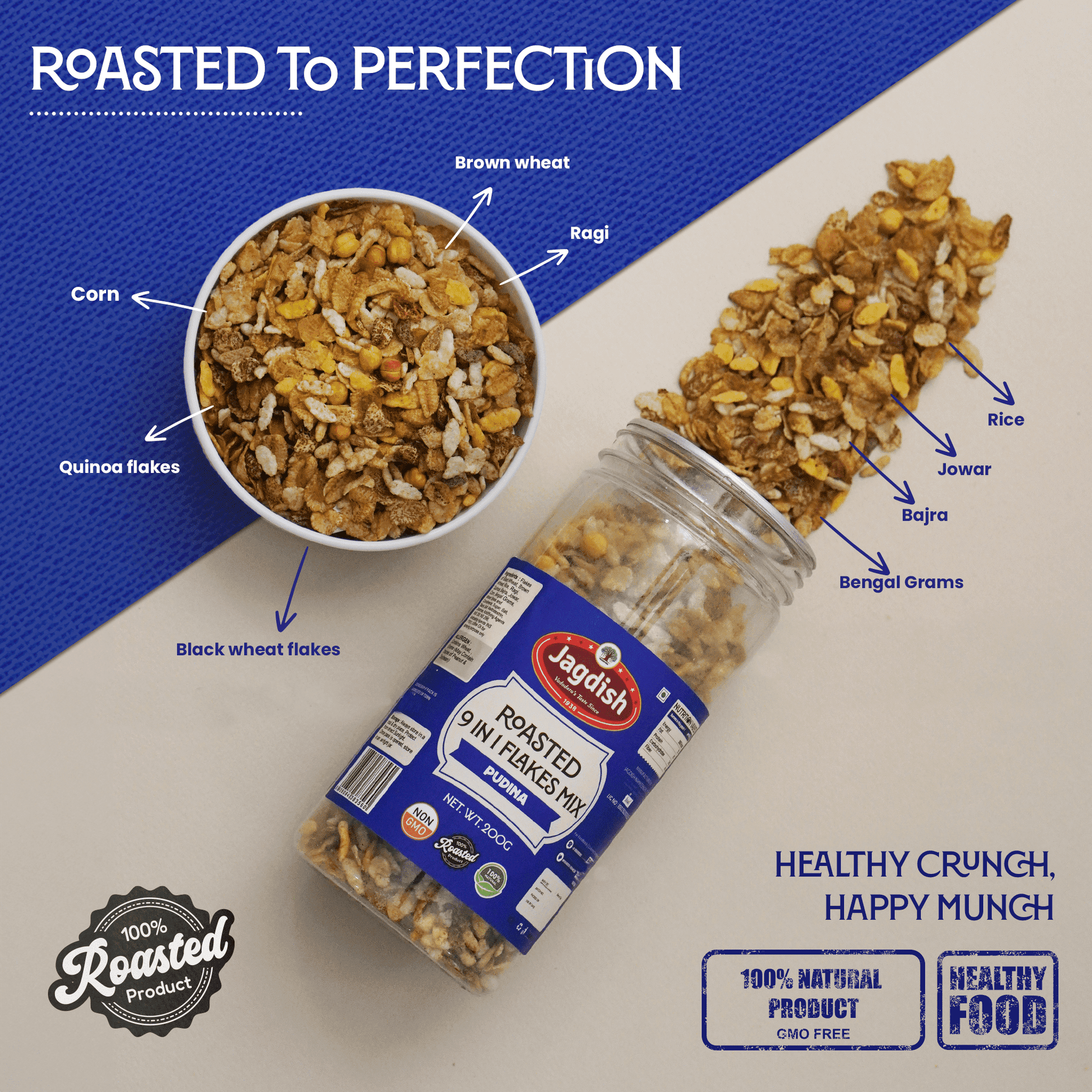 Roasted 9 In 1 Flakes Pudina